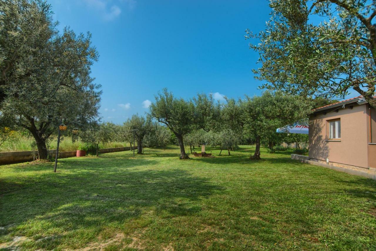 Apartment Mladenka Pula Dış mekan fotoğraf